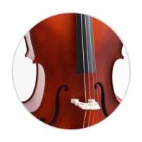 Dominguez Çello Gül DCR34CRP1