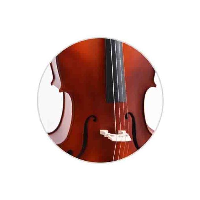 Dominguez Çello Gül DCR34CRP1