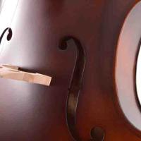 Manuel Raymond Çello (Viyolonsel) 1/4 Mat El Cilalı MC14GEM