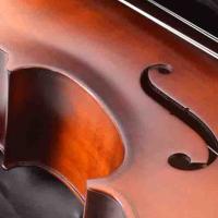 Manuel Raymond Çello (Viyolonsel) 1/4 Mat El Cilalı MC14GEM