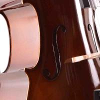 Manuel Raymond Çello (Viyolonsel) Parlak Cilalı 3/4 MC34DC