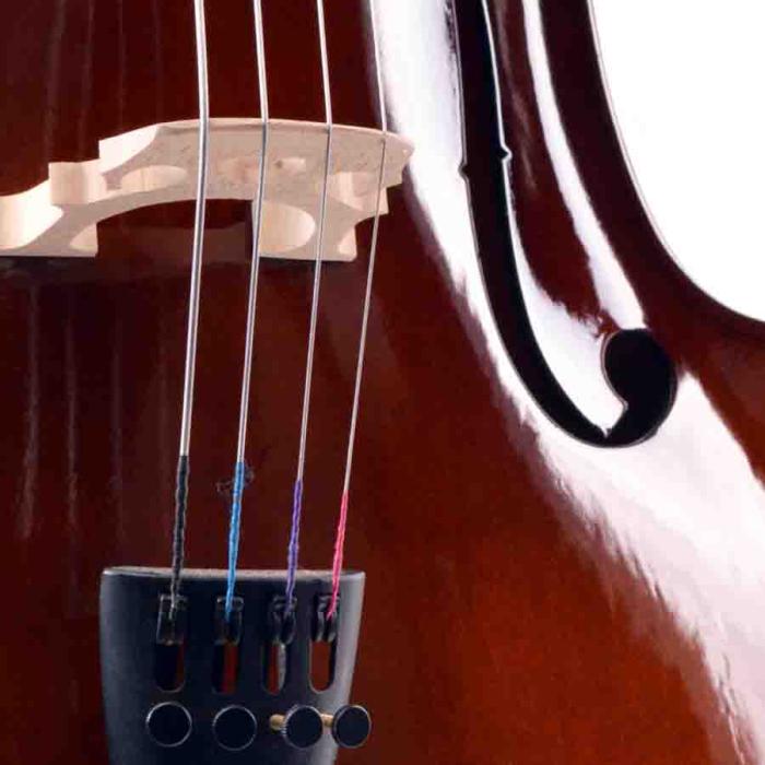 Manuel Raymond Çello (Viyolonsel) Parlak Cilalı 3/4 MC34DC