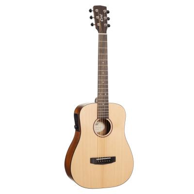 Cort EARTH GO OPW  Elektro Akustik Gitar, Open Pore, Çantalı