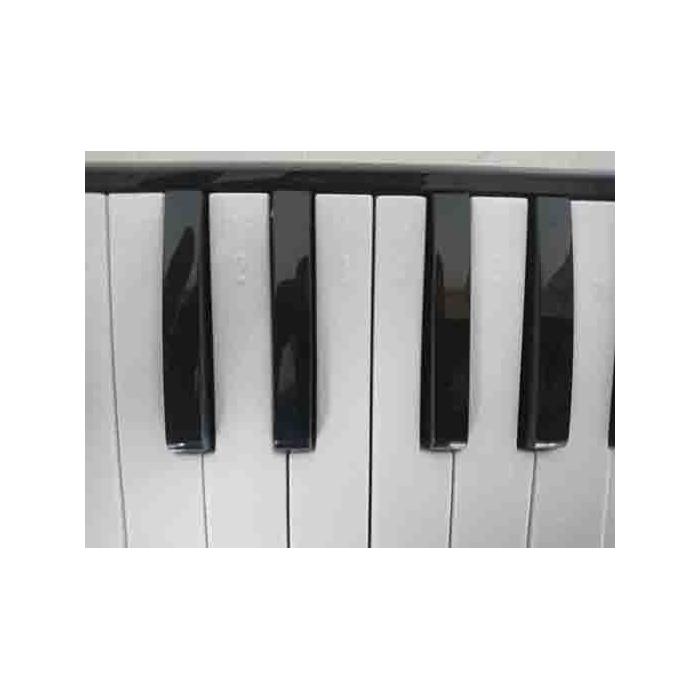 Cremonia CR32PK-12 Melodika 32 Tuş Pembe Renk 12 Li Paket Eva Çanta