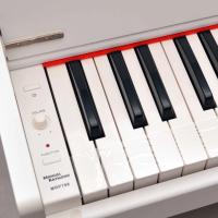 Dijital (Silent) Piyano Manuel Raymond Mrp788Wh2