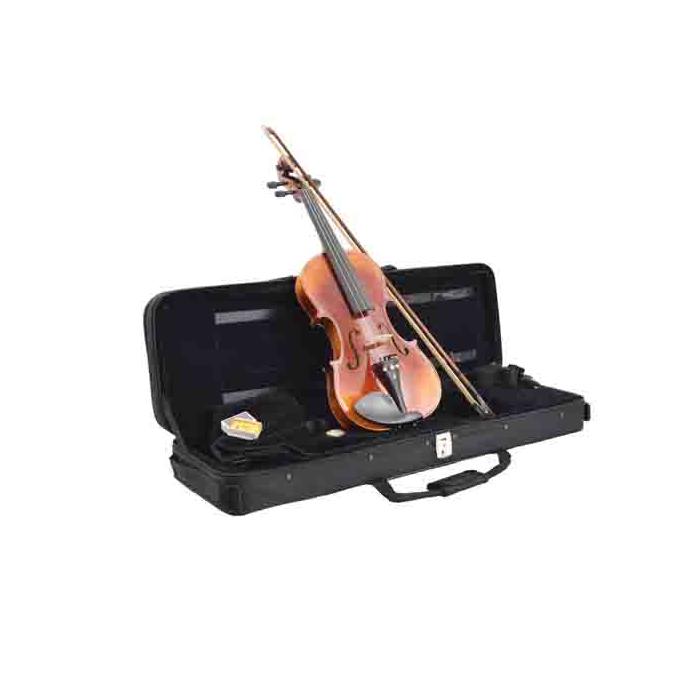 Dominguez Profesyonel Keman 4/4 (DVPG44-P1)