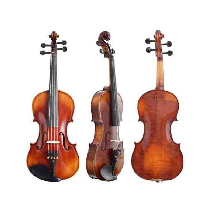 Dominguez Profesyonel Keman 4/4 (DVPG44-P1)