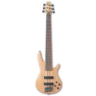Ibanez SR1006EFMNTF Bas Gitar 6 Telli-Kutulu Kore