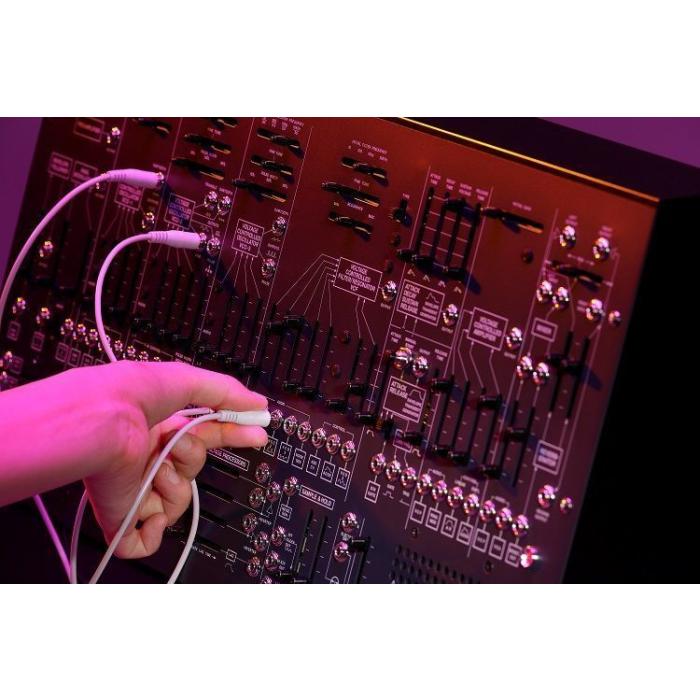 Korg ARP 2600 M Analogue Synthesizer Module