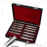 Valencia HM1020-12 Mızıka Set 12 Li